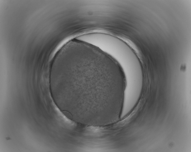 X0000091690910200709061122