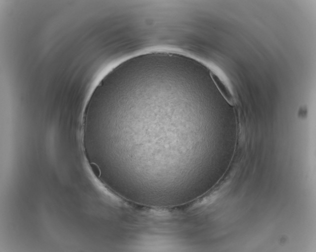 X0000091690911200709061122