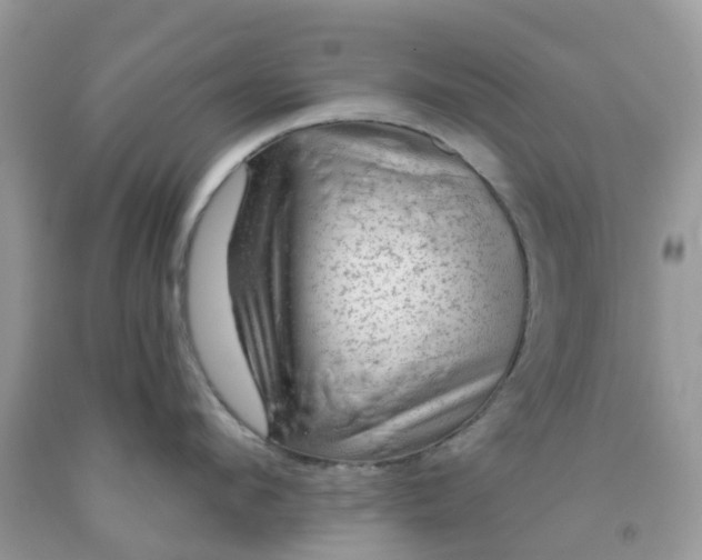 X0000091690912200709061122