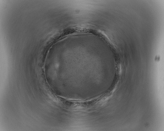 X0000091690913200709061122