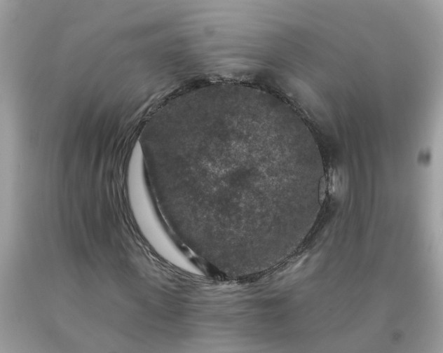 X0000091690915200709061122