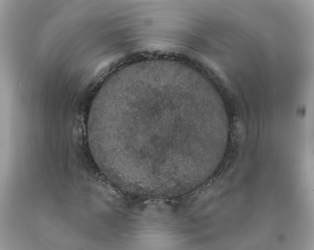 X0000091690918200709061122