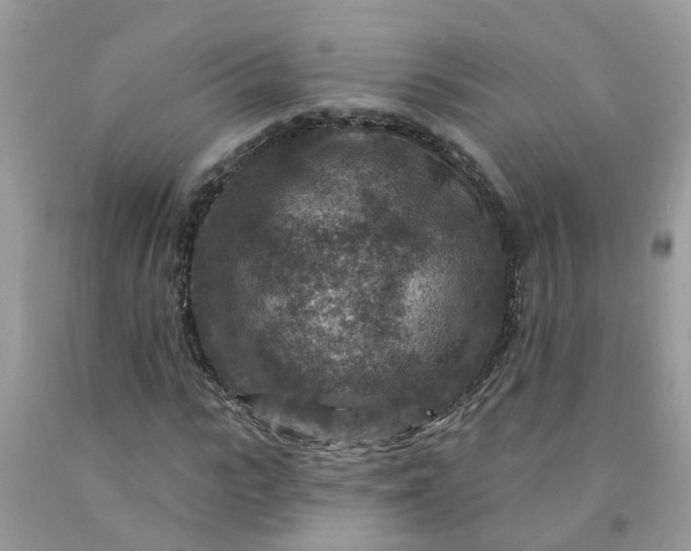 X0000091690919200709061122