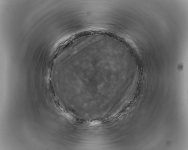 X0000091690920200709061122