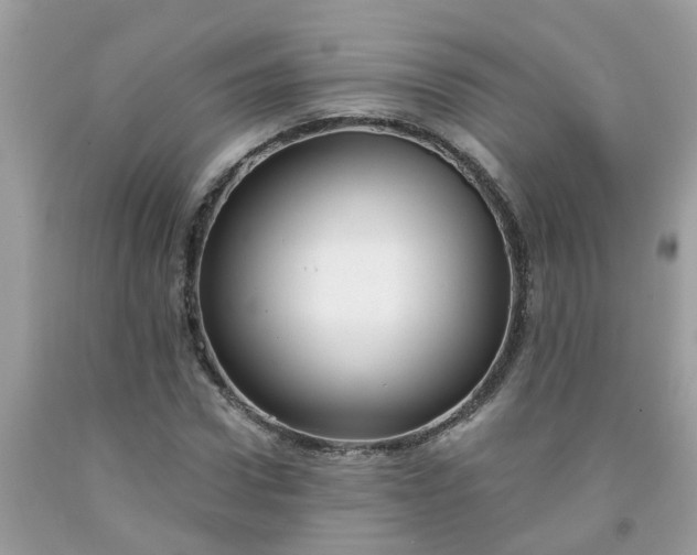 X0000091690922200709061122