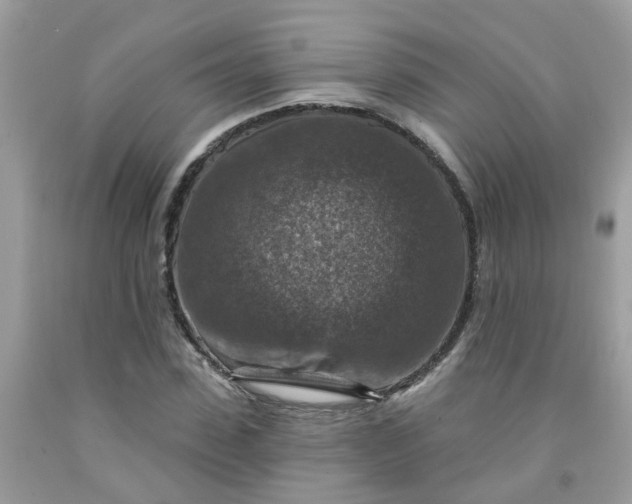 X0000091690923200709061122