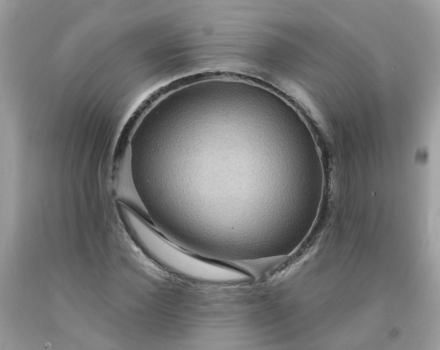 X0000091690924200709061122