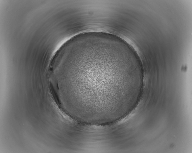 X0000091690925200709061122