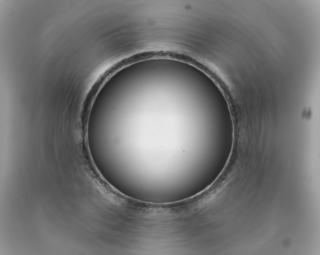 X0000091690927200709061122