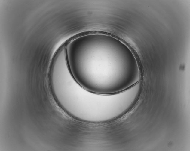 X0000091690928200709061122