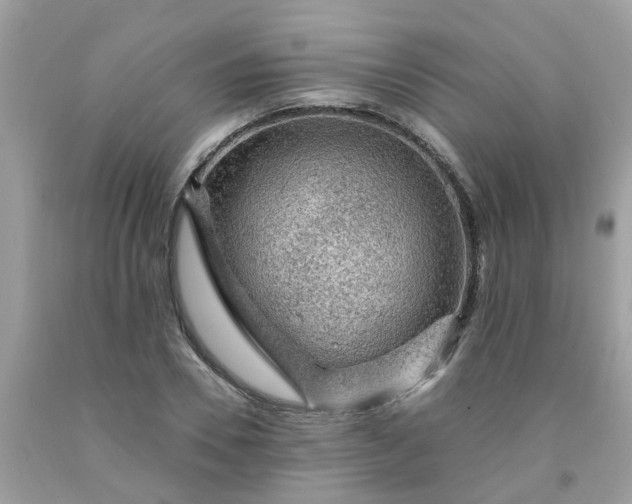 X0000091690930200709061122