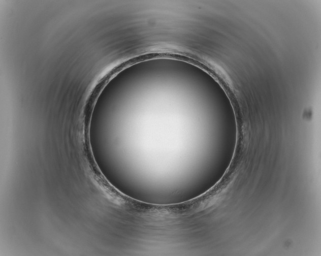 X0000091690931200709061122