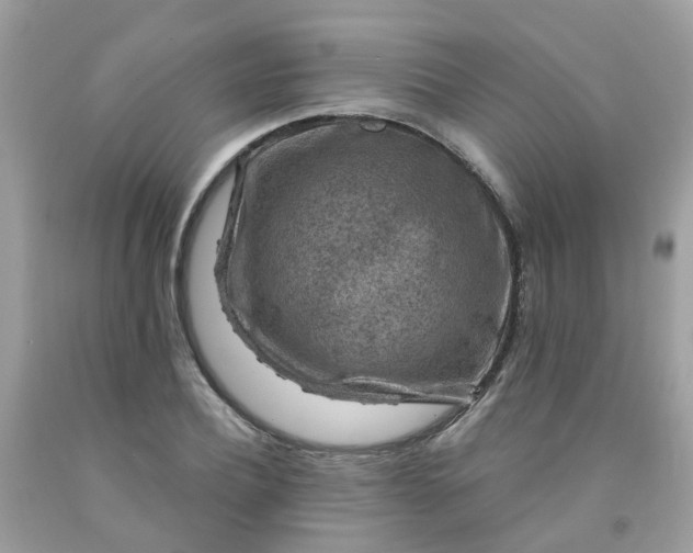 X0000091690932200709061122