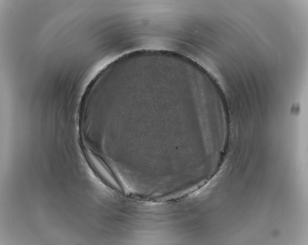 X0000091690935200709061122