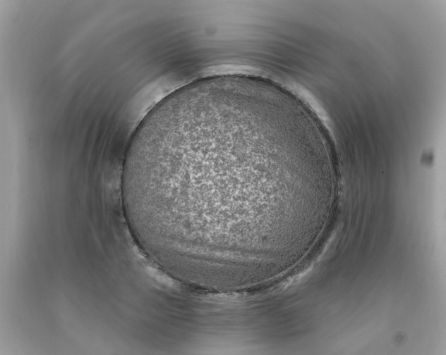 X0000091690937200709061122