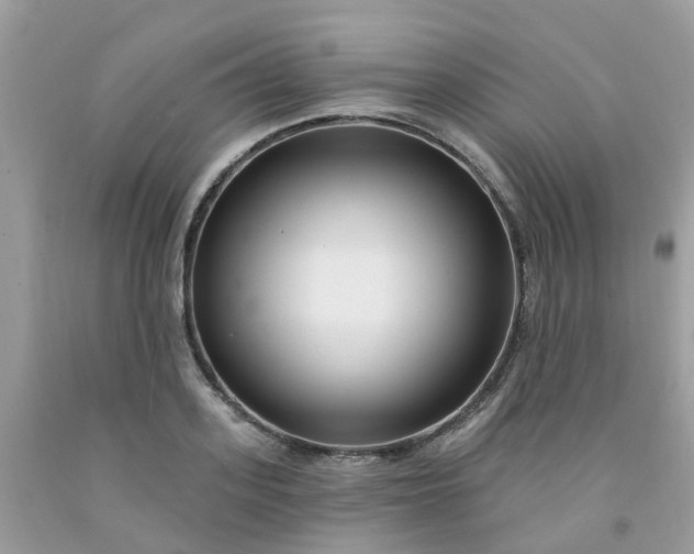 X0000091690939200709061122