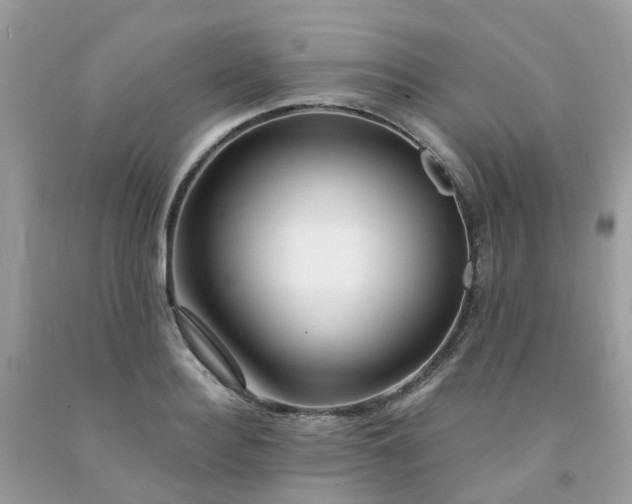 X0000091690940200709061122