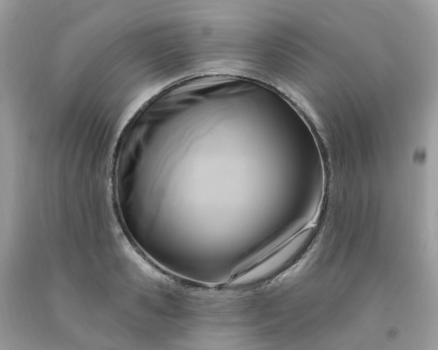 X0000091690941200709061122