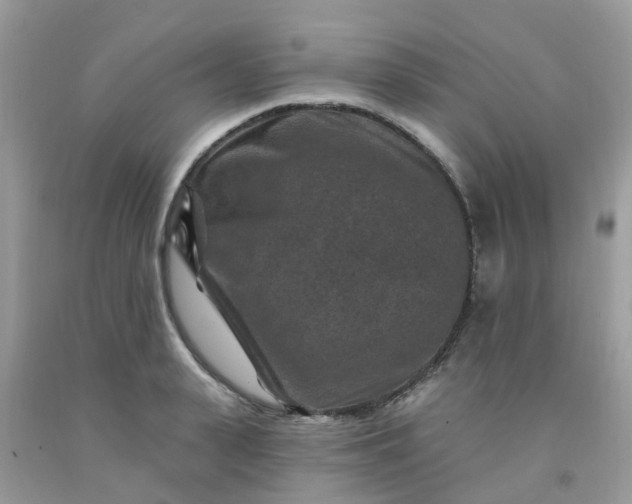 X0000091690943200709061122