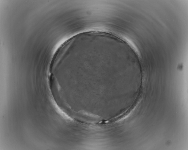 X0000091690944200709061122