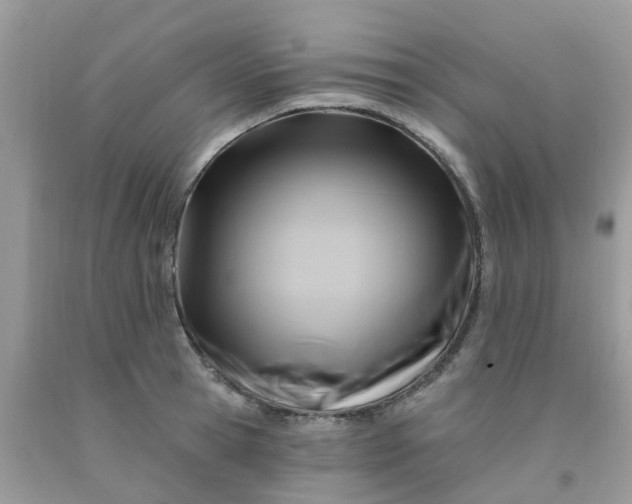 X0000091690945200709061122