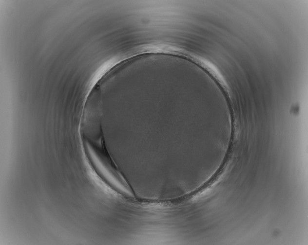 X0000091690946200709061122