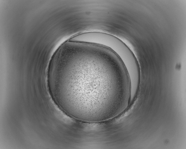 X0000091690949200709061122