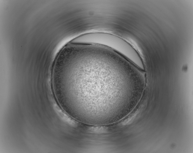 X0000091690952200709061122