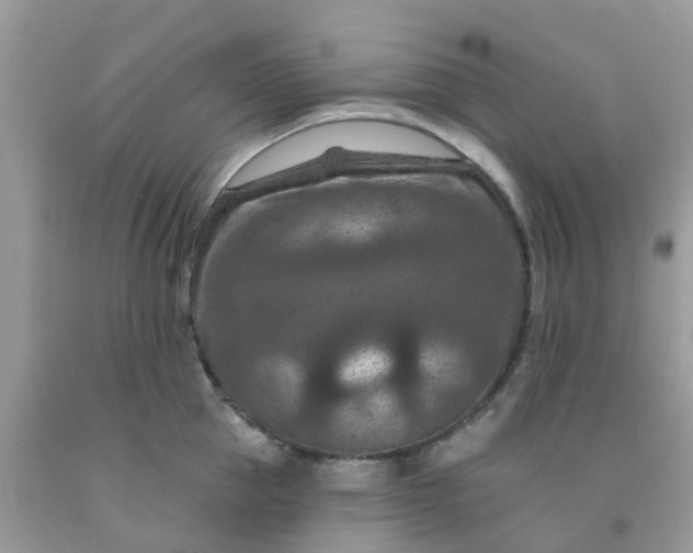 X0000091690953200709061122