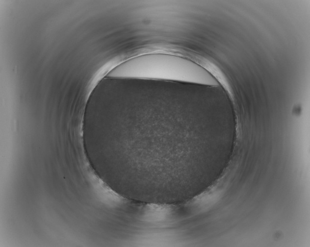 X0000091690954200709061122