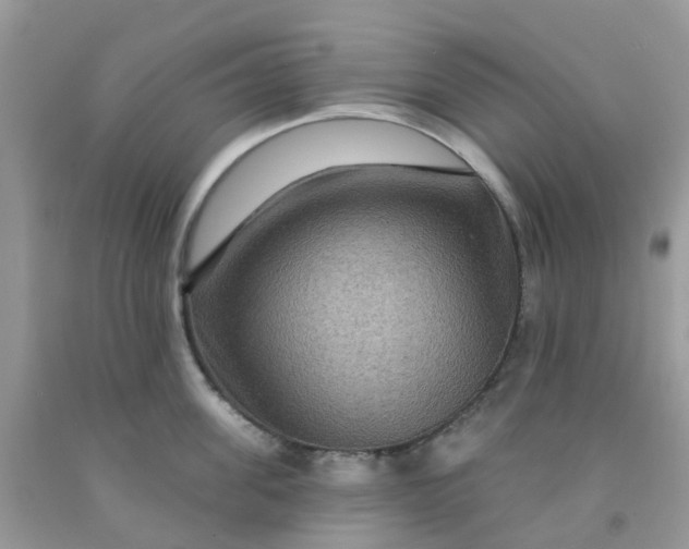 X0000091690955200709061122