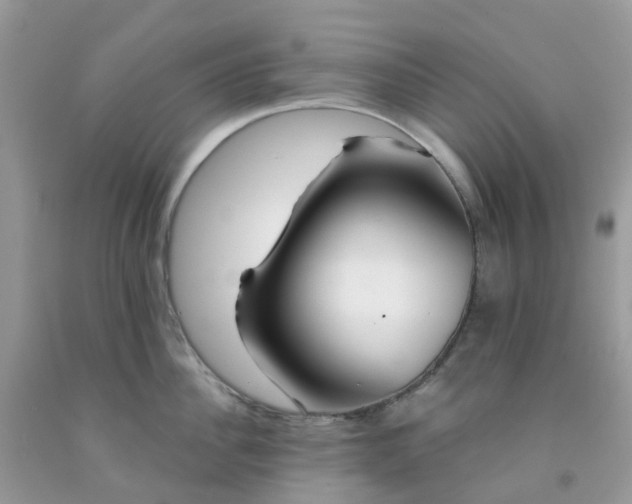 X0000091690956200709061122