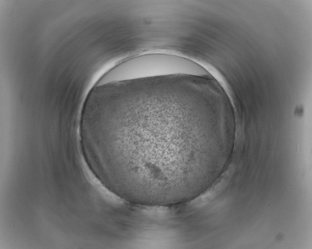 X0000091690957200709061122