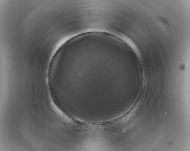 X0000091690958200709061122