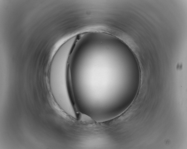 X0000091690960200709061122