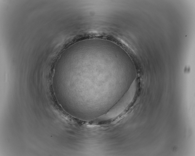 X0000091690961200709061122