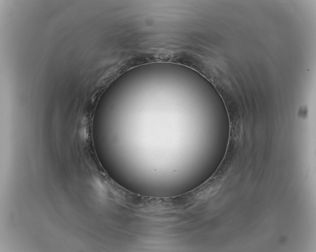 X0000091690962200709061122