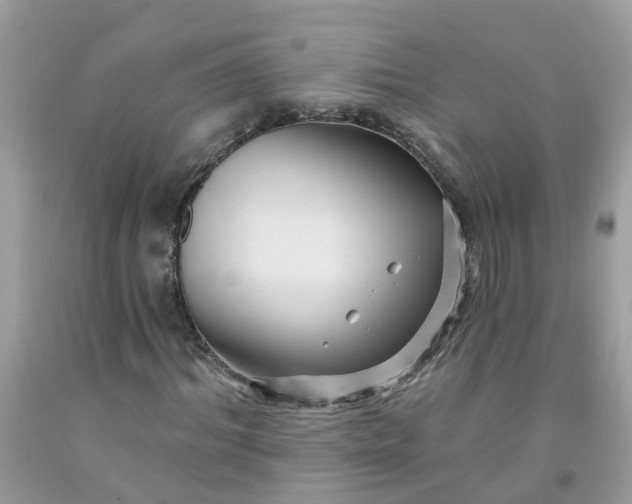 X0000091690964200709061122