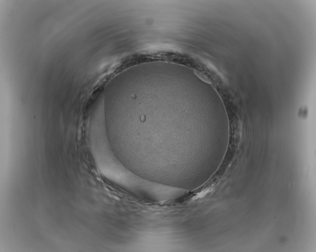 X0000091690965200709061122