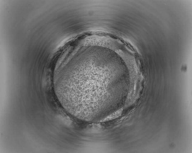 X0000091690968200709061121