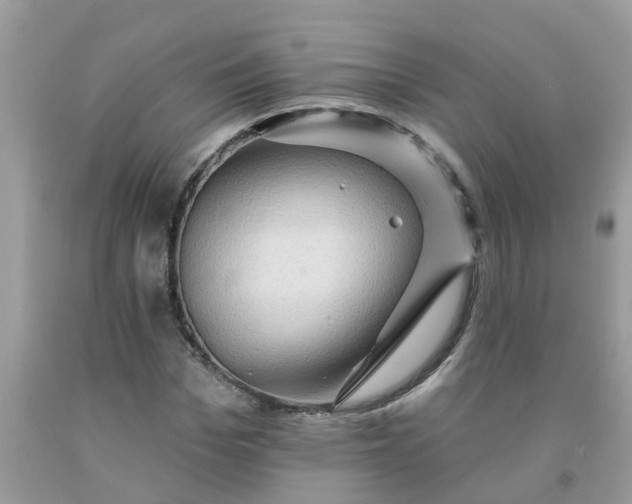 X0000091690969200709061121