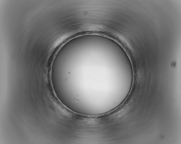 X0000091690970200709061121