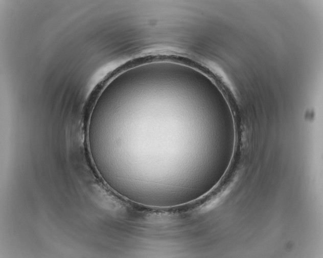 X0000091690973200709061121