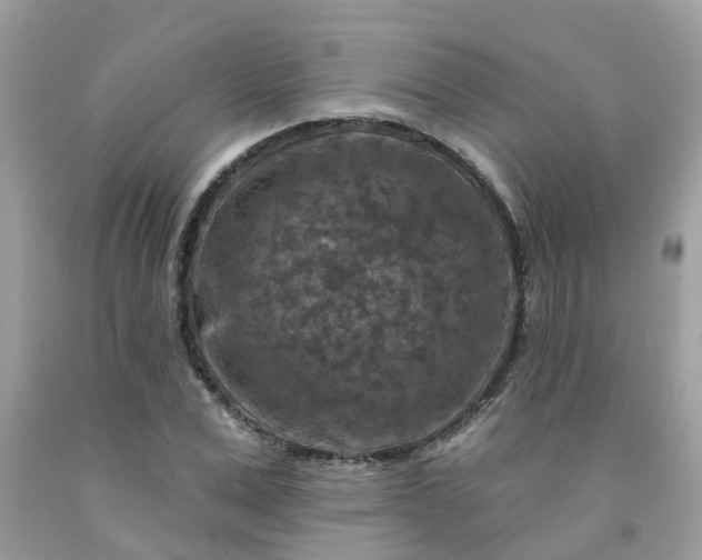 X0000091690975200709061121