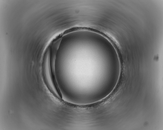 X0000091690976200709061121