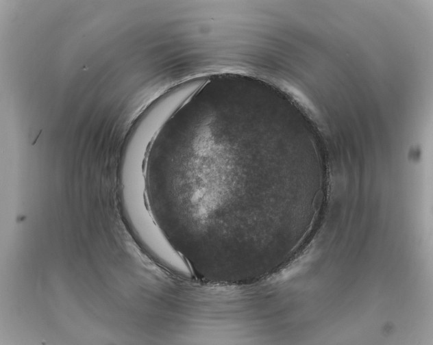 X0000091690977200709061121