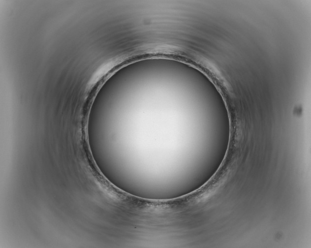 X0000091690978200709061121