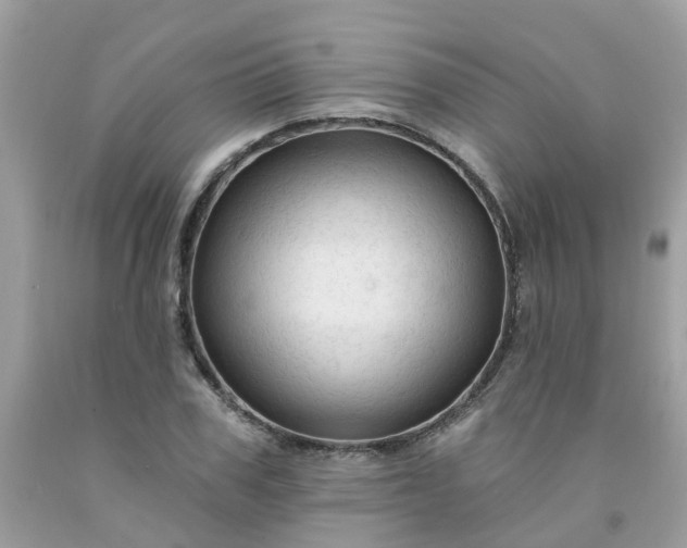 X0000091690979200709061121