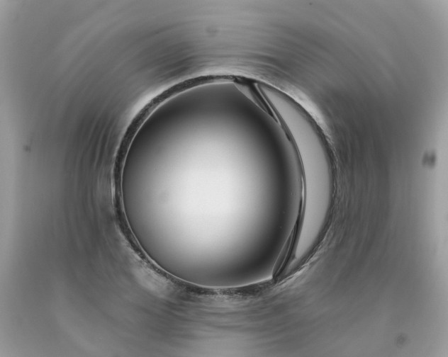 X0000091690980200709061121