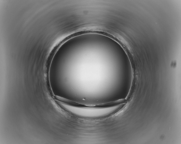 X0000091690981200709061121